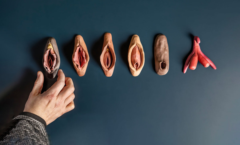 Modeller i lera av vulvor. De mittersta visar olika typer av könsstympning. Längst till vänster en vulva som inte är könsstympad. Längst till höger är en modell av klitoris.