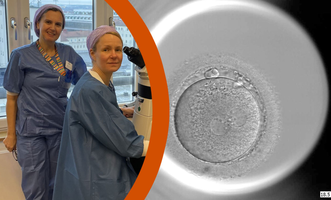 ”Största glädjen är att komma till jobbet och upptäcka att ägget har befruktats”