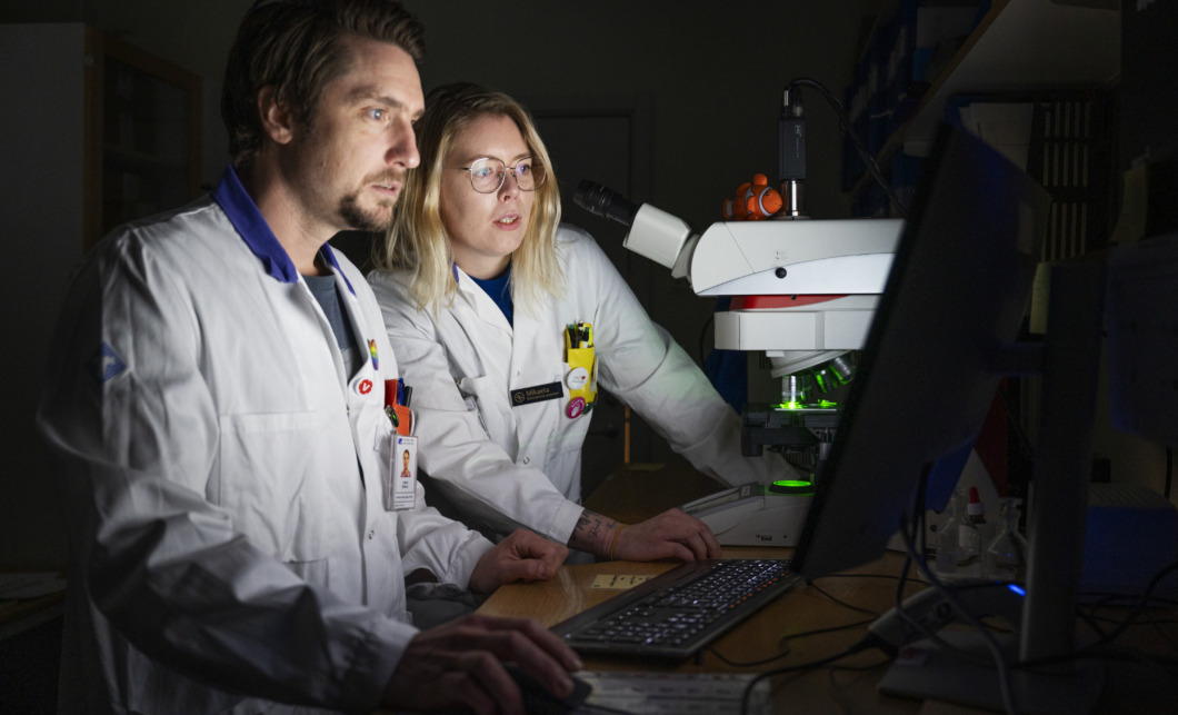 De blev särskilt yrkesskickliga – men bara i ett år: ”Något som ambulerade runt”