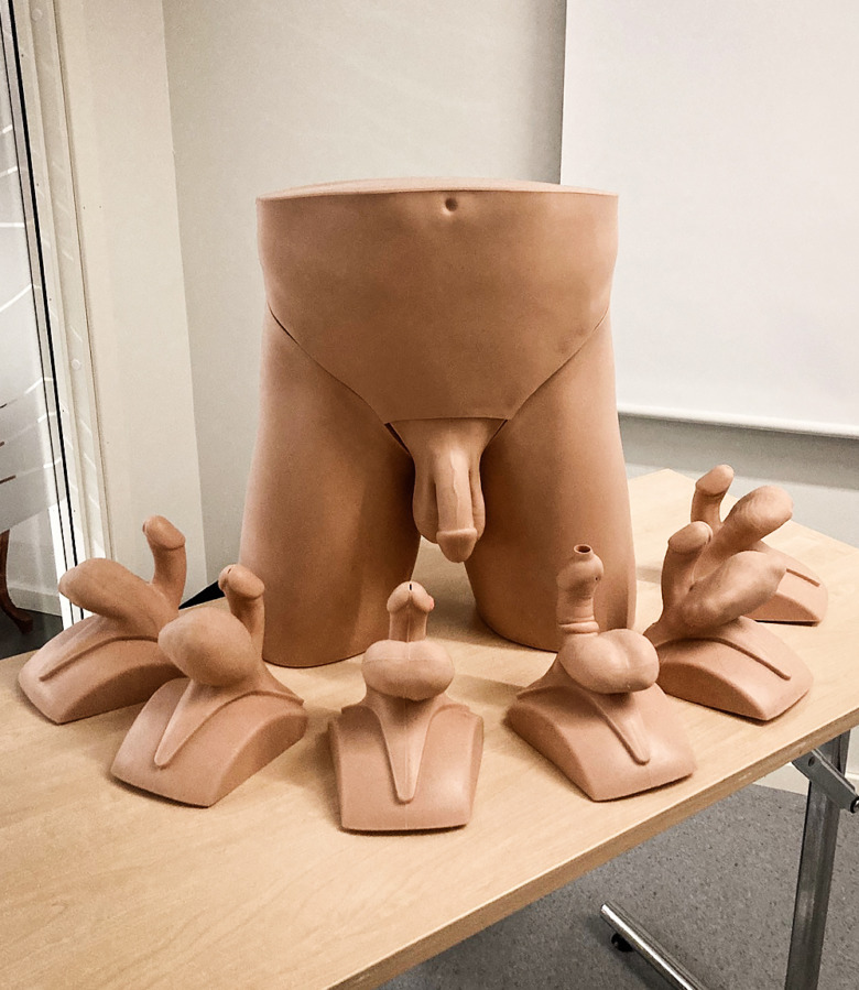 Bild på anatomiskt manligt bäcken