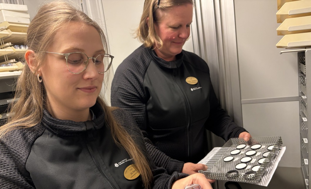 De fångar upp det skadliga dammet