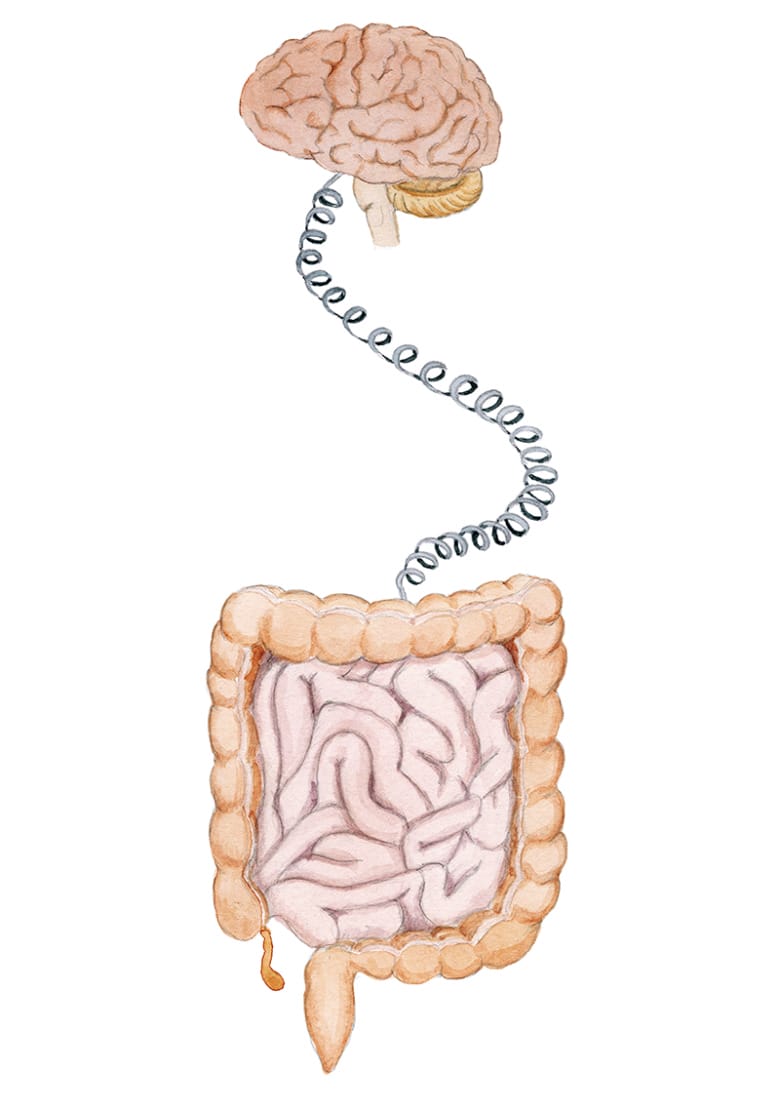 En illustration som visar en hjärna som är ihopkopplad via en gammeldags snurrad telefonsladd till tarmen