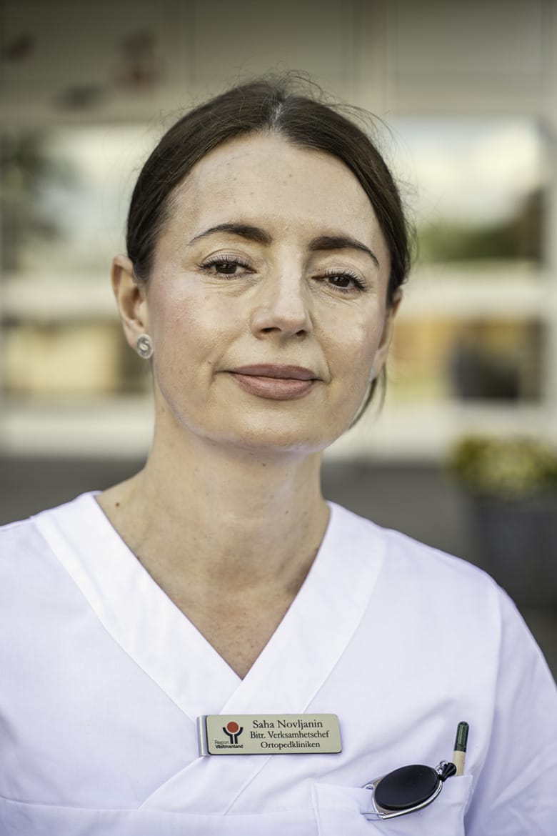 Porträtt på Saha Novljanin