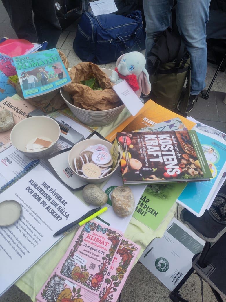 Bocker, pins och informationsblad om hur klimatkrisen påverkar din hälsa.