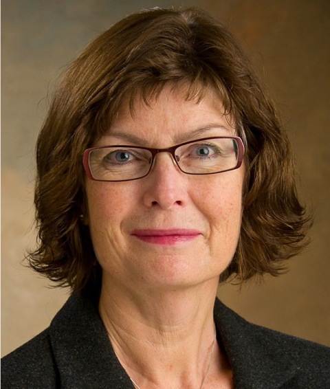 Oro för att minskade anslag ska drabba vårdutbildningar