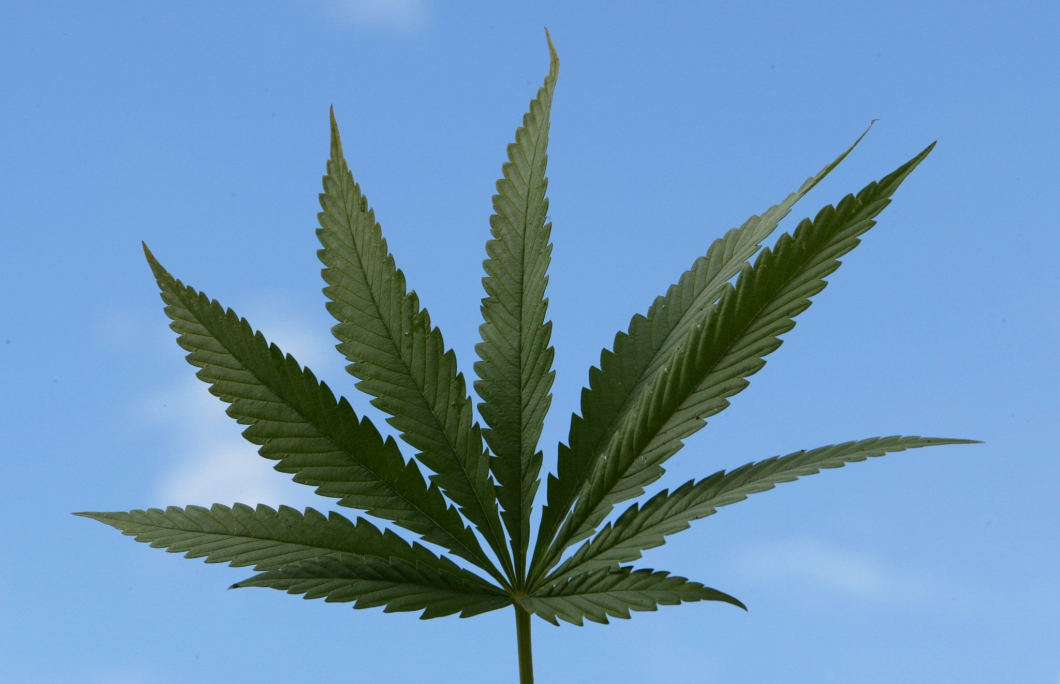 Första privatimporten av cannabismedicin godkändes