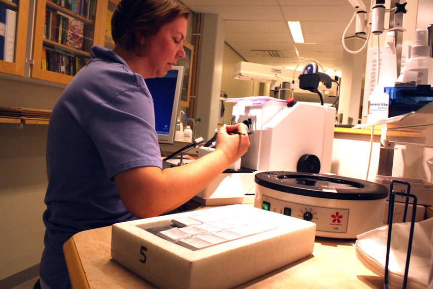 Biomedicinska analytiker prisas för fiffiga kylklampar