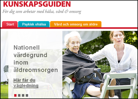 Webben ger stöd vid införande av nationella riktlinjer