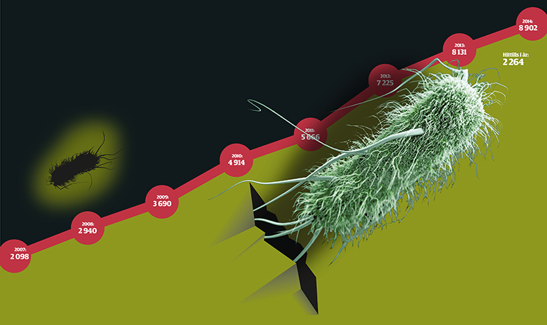 Ny bakterie    sprider fruktan