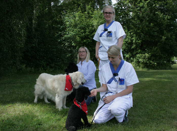 Lyckat projekt med hundar inom den rättspsykiatriska vården