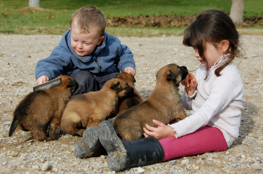 Lägre astmarisk hos barn som växer upp med hund